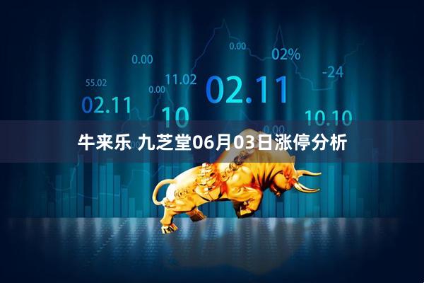 牛来乐 九芝堂06月03日涨停分析