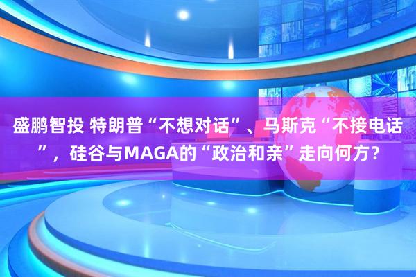 盛鹏智投 特朗普“不想对话”、马斯克“不接电话”，硅谷与MAGA的“政治和亲”走向何方？