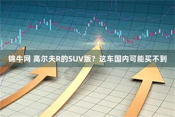 锦牛网 高尔夫R的SUV版？这车国内可能买不到