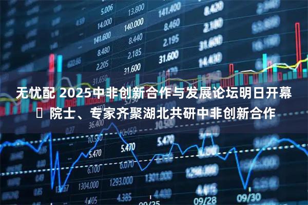 无忧配 2025中非创新合作与发展论坛明日开幕 ​院士、专家齐聚湖北共研中非创新合作