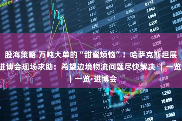 股海策略 万吨大单的“甜蜜烦恼”！哈萨克斯坦展商首赴进博会现场求助：希望边境物流问题尽快解决 ｜一览·进博会